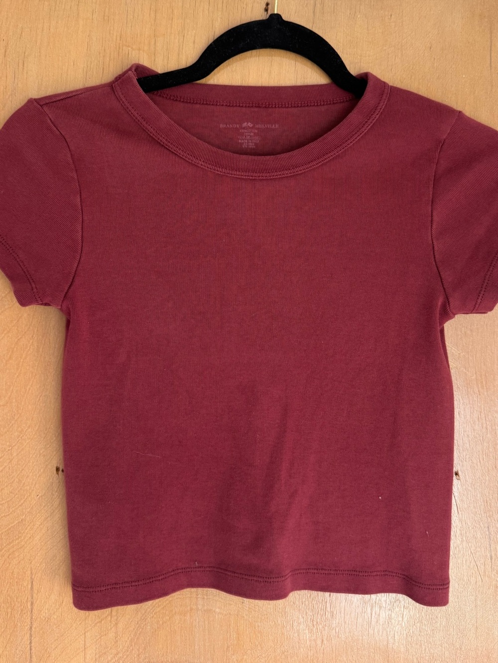 Brandy Melville Crop Top
